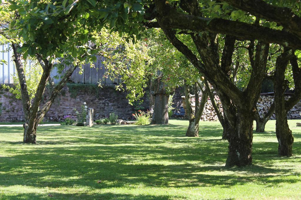 Le Lavoir Bed and Breakfast Peintre Esterno foto